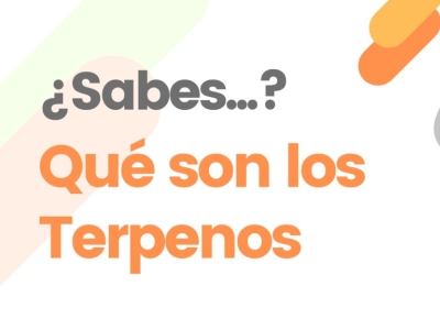 ¿Qué son los terpenos?