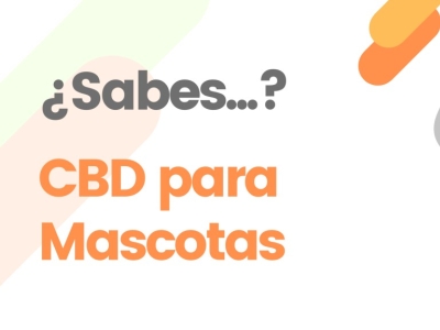 Workanna: Innovando con CBD para Mascotas