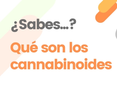 ¿Qué son los cannabinoides? Todo sobre los compuestos más conocidos del cannabis